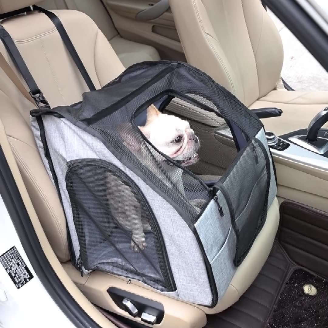 Fournitures pour animaux de compagnie, chien, cage, nid, transport portable