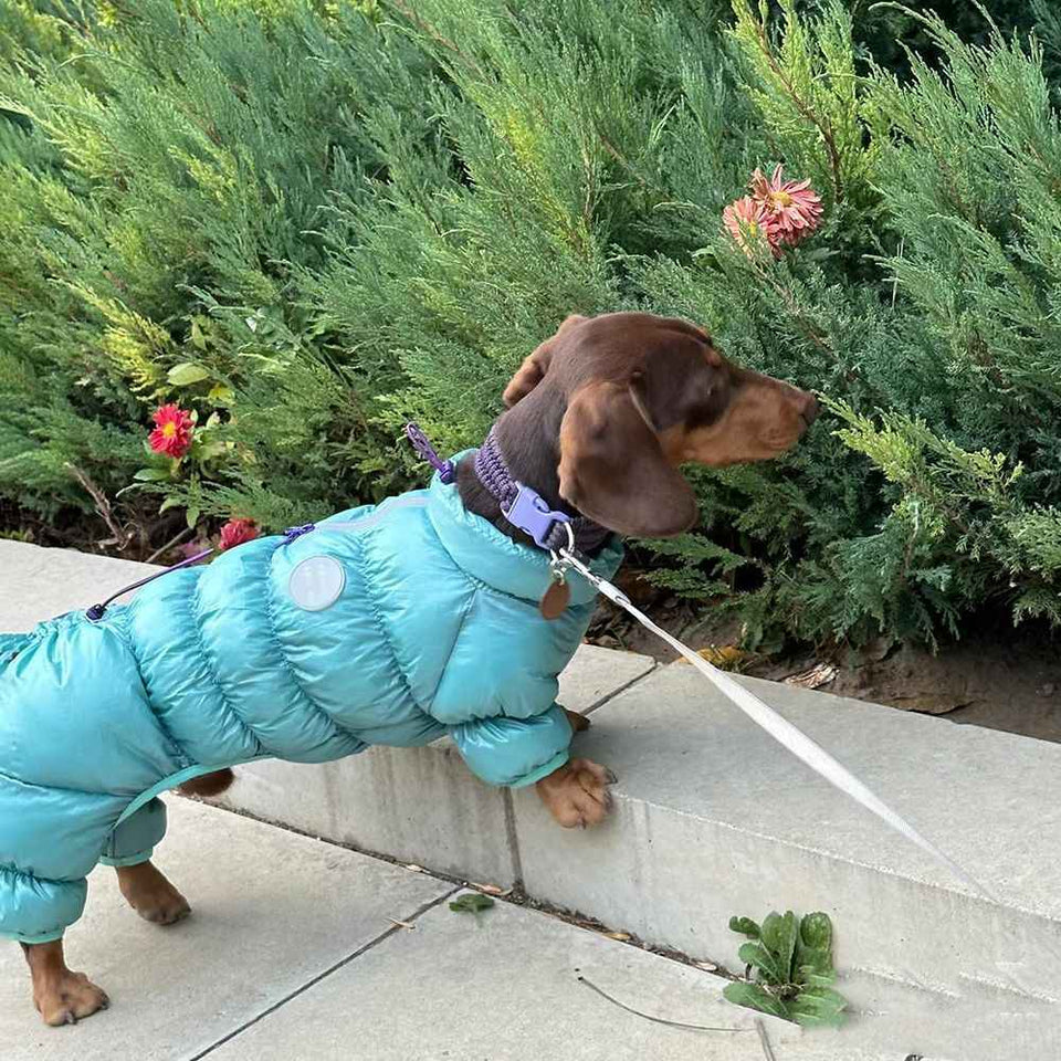 Autumn And Winter Pet Thermal Cotton-padded Clothes