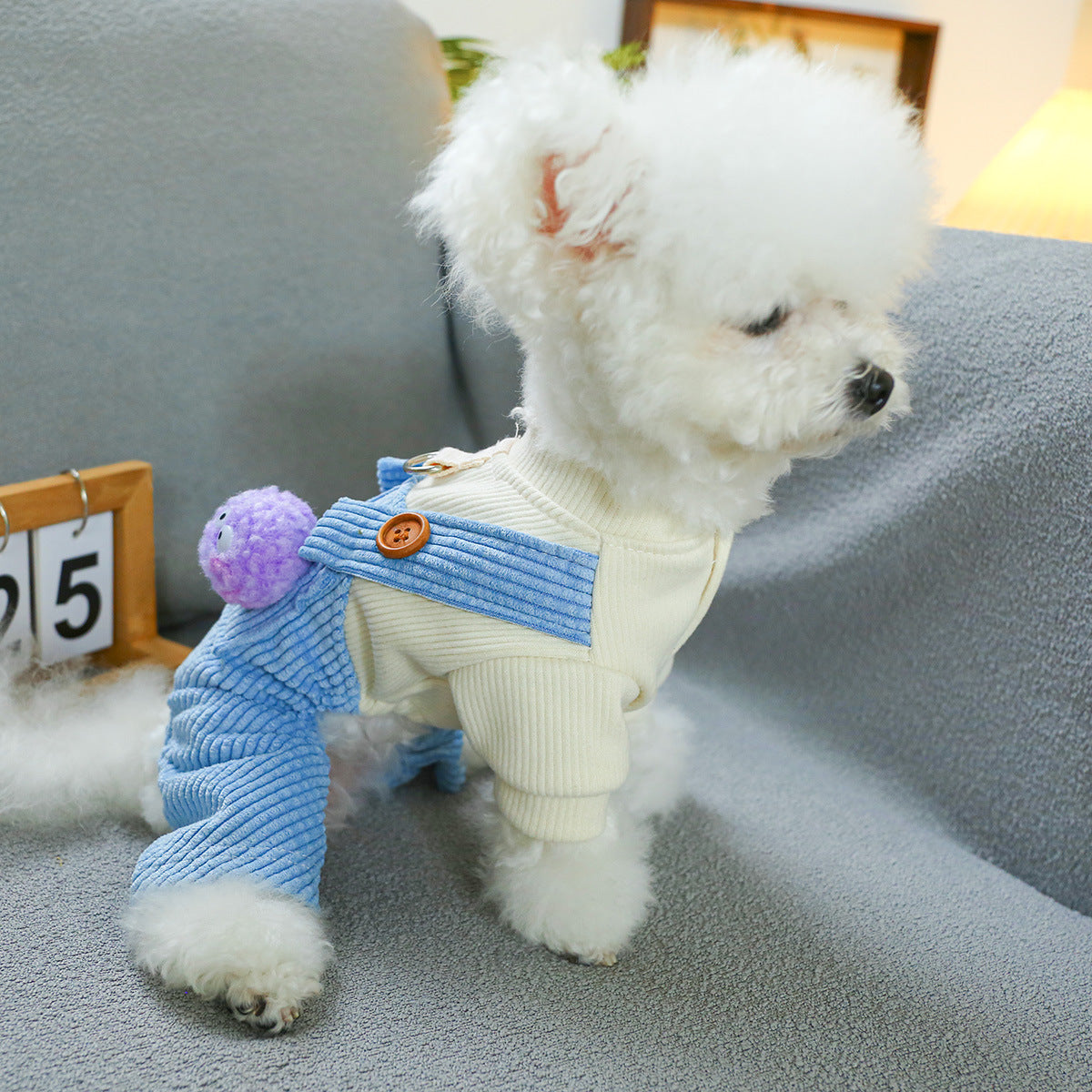 Vêtements pour animaux, vêtements pour chiens et chats, salopettes