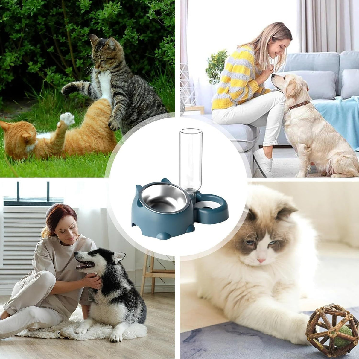 Ensemble gamelles pour chat – Gamelle inclinée à 16 degrés pour chien avec distributeur d'eau, gamelle amovible pour animaux de compagnie, gamelle pour boire et manger pour chien, gamelle amovible pour chats et chiens
