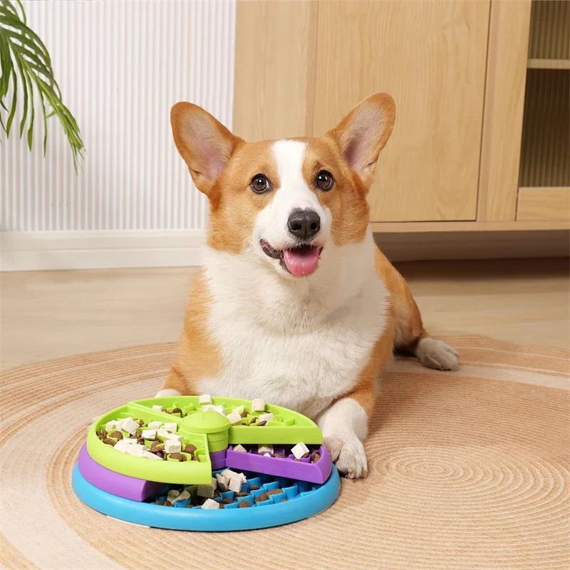 Gamelle Lente pour Chien avec Puzzle 3 Niveaux Anti-étouffement Antidérapante Mangeoire Lente Interactif pour Chiot Accessoires pour Animaux de Compagnie