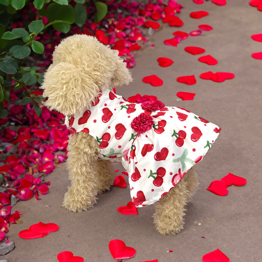 Jupe créative à imprimé mignon pour chiens et chats
