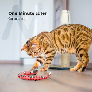 Tricky Interactive Sleeping Electric Induction Snake Toys