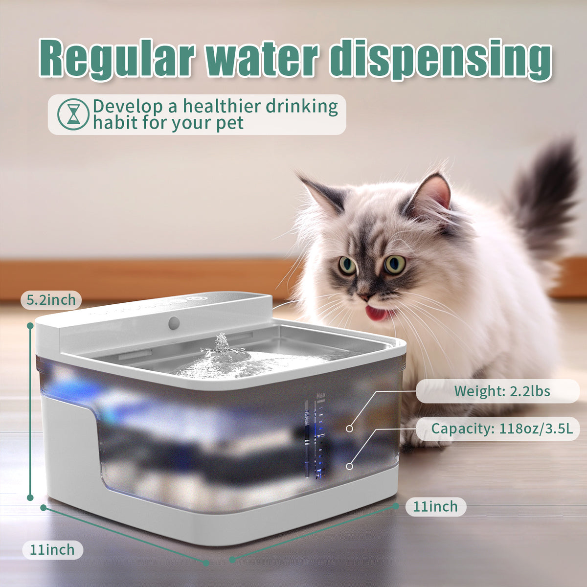 Distributeur d'eau pour animaux