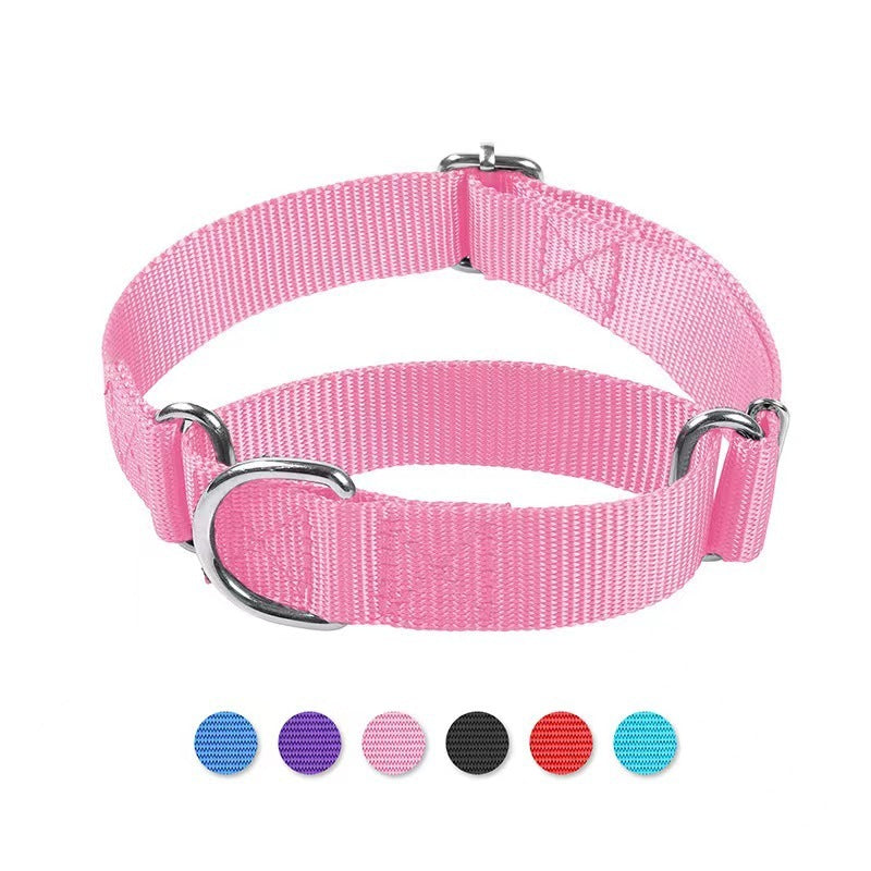 Collier pour chat et chien, harnais pour chien réglable en nylon anti-explosion avec laisse, fournitures pour animaux