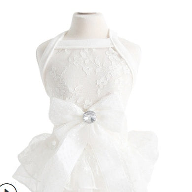 Robe de mariée en dentelle pour petit animal de compagnie, style été