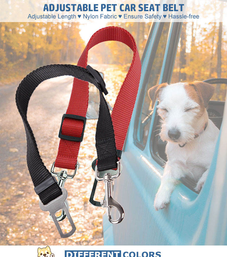 Cat - High Quality Durable Pet Cat Dog Vehicle Leash Nylon