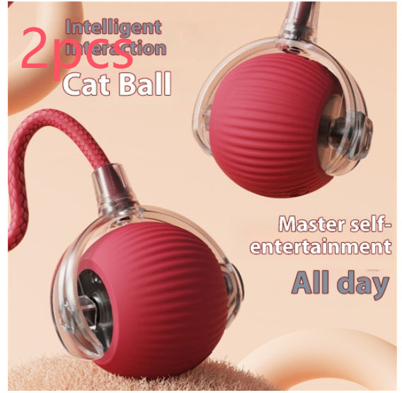 Jouet électrique pour chat, balle automatique pour chat, balle roulante pour divertissement autonome
