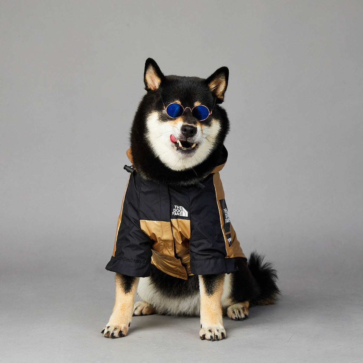 Imperméable pour grand chien Veste pour animaux de compagnie