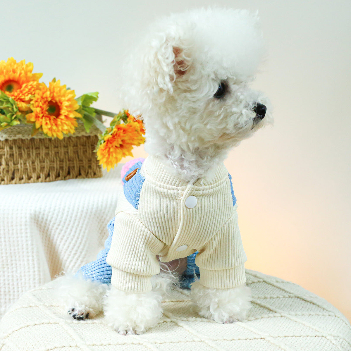 Vêtements pour animaux, vêtements pour chiens et chats, salopettes