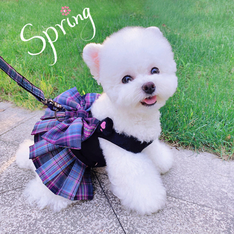 Vêtements pour chien Bichon Poméranien, petits et légers
