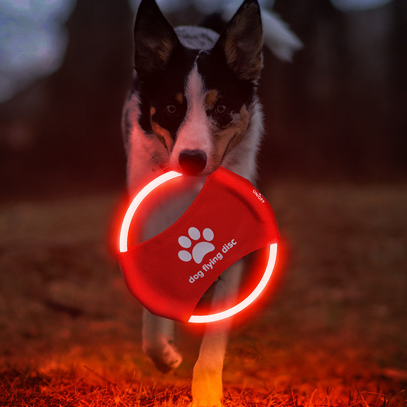 Disques volants lumineux pour chien - Jouets interactifs lumineux à LED pour l'entraînement - Accessoires pour animaux de compagnie