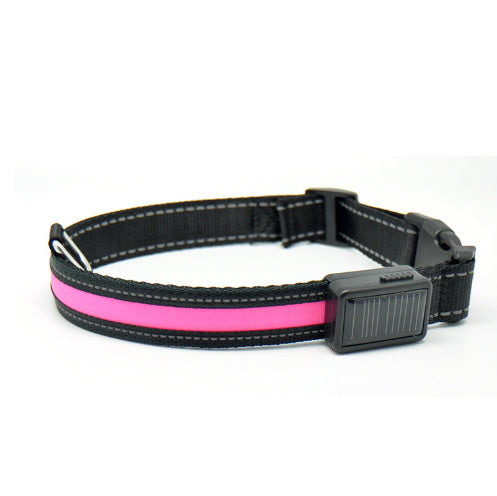 Collier pour chien fluorescent
