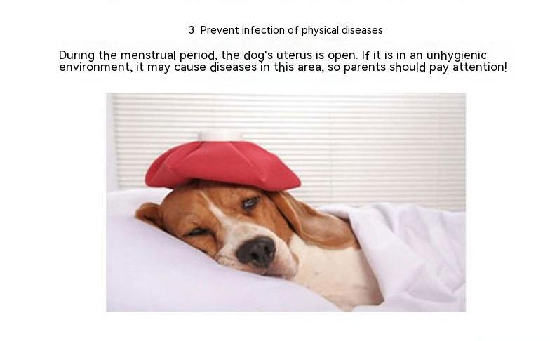 Pet Big Dog Menstrual Panties Menstrual Underwear Anti-harassment Menstrual Panties Pet Dog Underwear