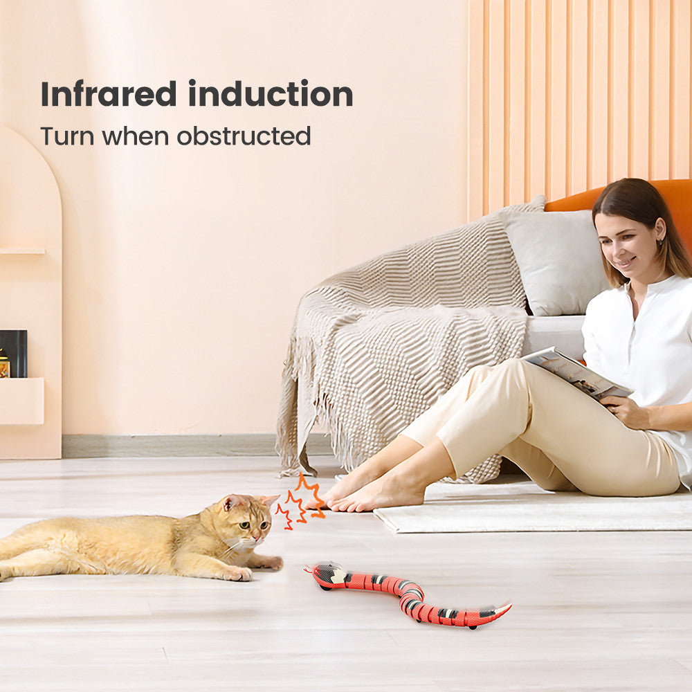 Jouets serpent électriques interactifs à induction pour animaux de compagnie