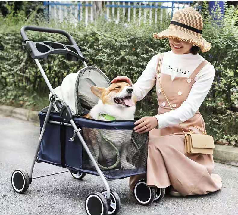 Poussette pour animaux de compagnie, pliable et portable, pour chat et petit chien, légère et pratique