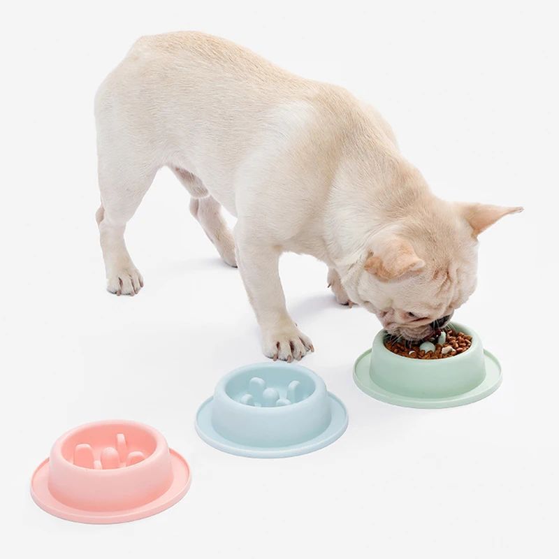 Gamelle Anti-Glouton pour Chien et Chiot - Mangeoire Lente Interactive