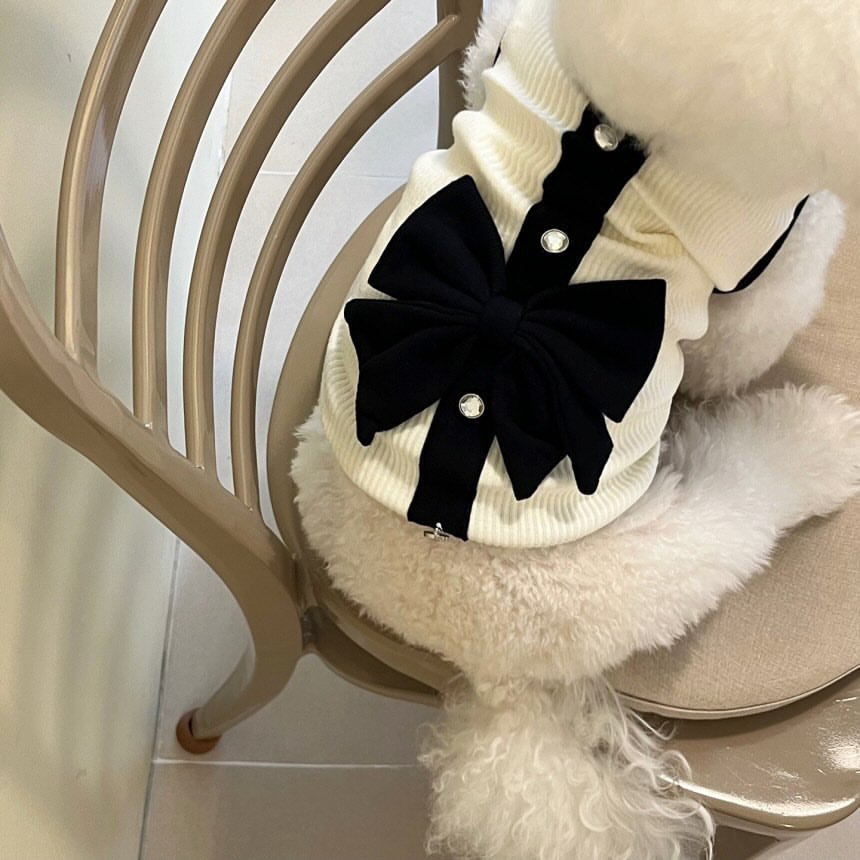 Robe de princesse pour chien, vêtement d'été léger pour petit chien, gilet