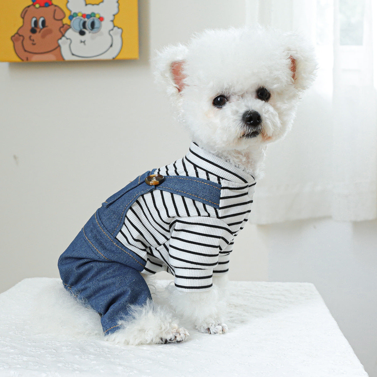 Vêtements pour animaux de compagnie Vêtements pour chiens Ours mignon
