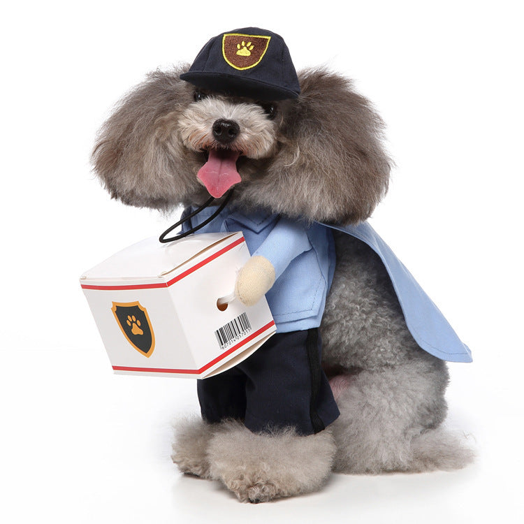 Vêtements pour animaux de compagnie et produits associés (Europe et Amérique)