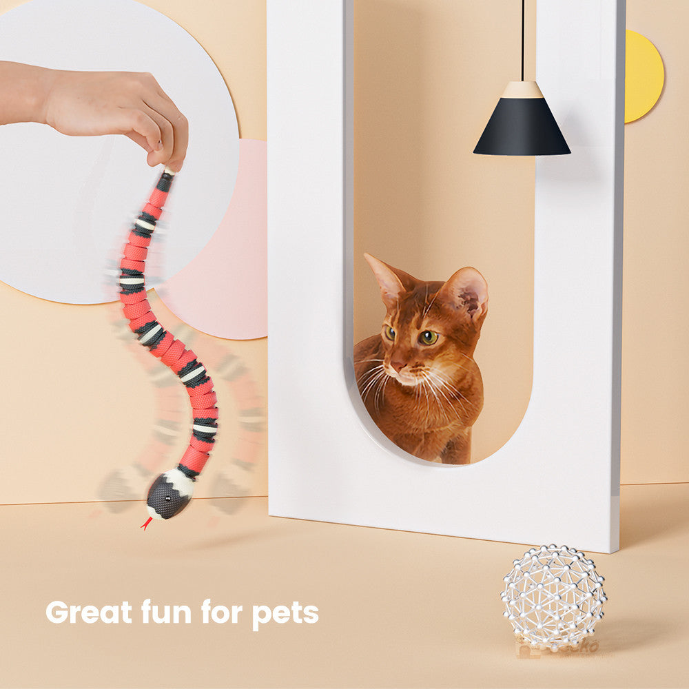 Jouets serpent électriques interactifs à induction pour animaux de compagnie