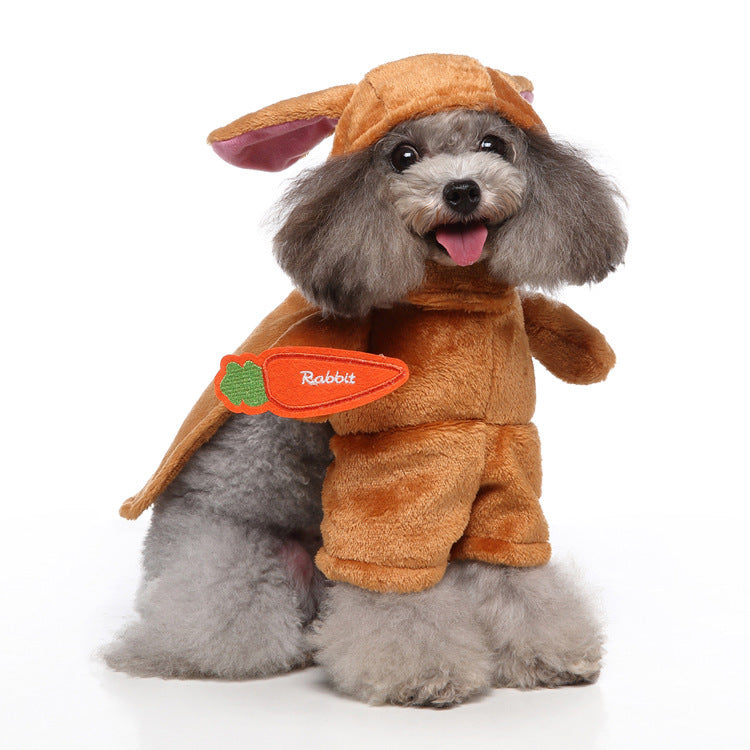 Vêtements pour animaux de compagnie et produits associés (Europe et Amérique)