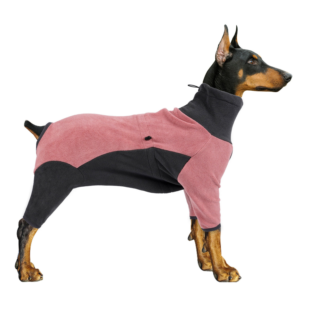 Vêtements pour chiens - Anti-froid et chauds - Pour animaux de compagnie en hiver - Fournitures chaudes pour animaux de compagnie