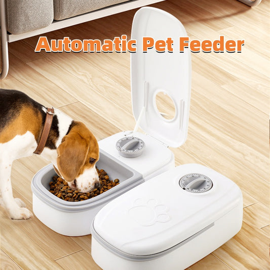 Distributeur automatique de nourriture intelligent pour chats et chiens avec minuterie et bol en acier inoxydable, fournitures pour animaux de compagnie