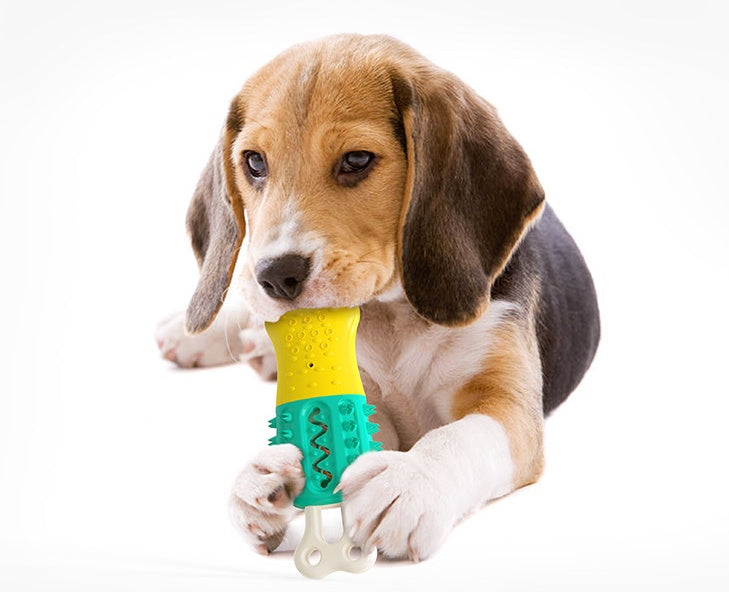 Entretien de nettoyage pour le refroidissement d'été - Jouets à mâcher pour animaux de compagnie