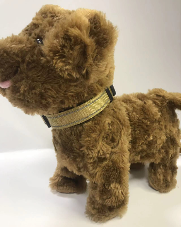 Adjustable Reflective Nylon Webbing Dog Collar in black with colorful options below, showcasing comfort and durability.