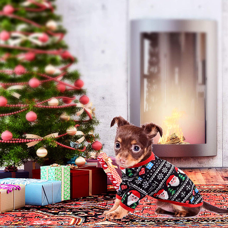 Teddy Bichon Hiromi Cat Pet Clothes