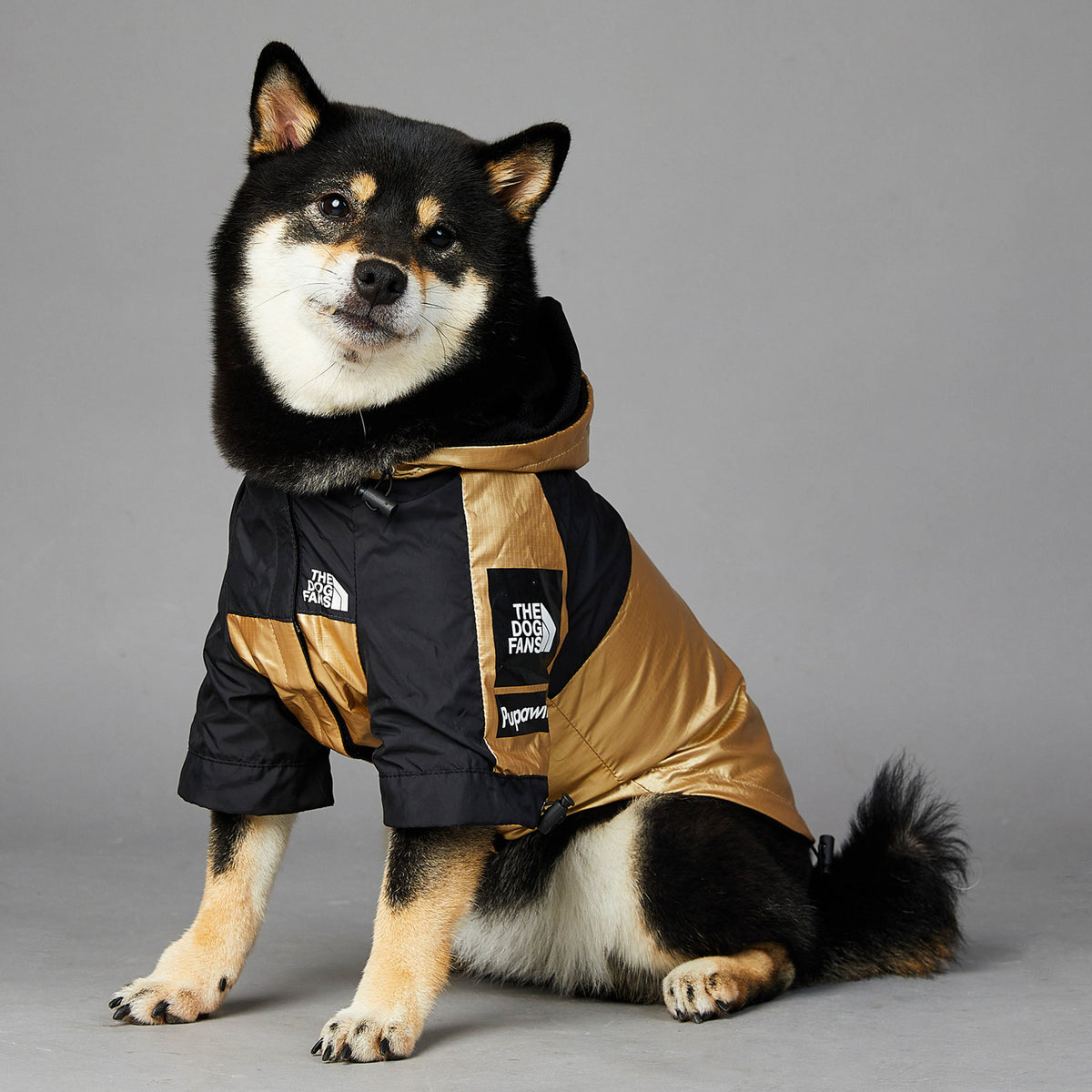 Imperméable pour grand chien Veste pour animaux de compagnie