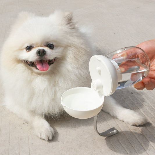 Gourde pliable et portable pour animaux de compagnie (chiens et chats) pour l'extérieur