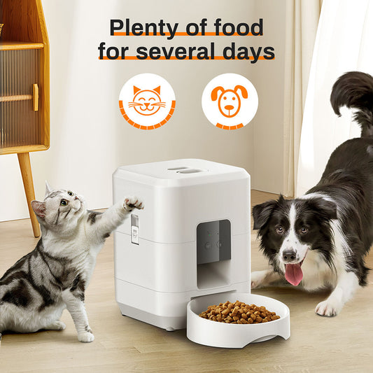 Distributeur automatique pour animaux de compagnie 2L, Wi-Fi avec programmateur, pour chien