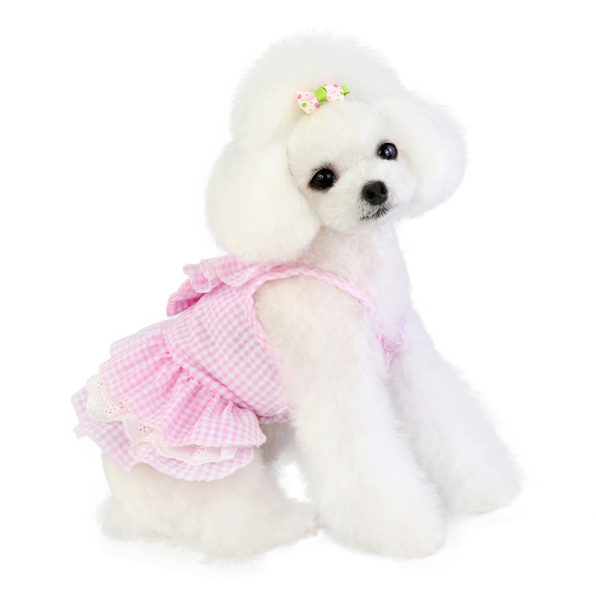 Vêtements pour animaux, accessoires pour chiens, robe à nœud papillon