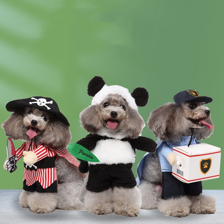 Vêtements pour animaux de compagnie et produits associés (Europe et Amérique)