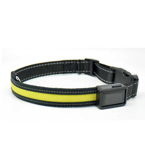 Collier pour chien fluorescent