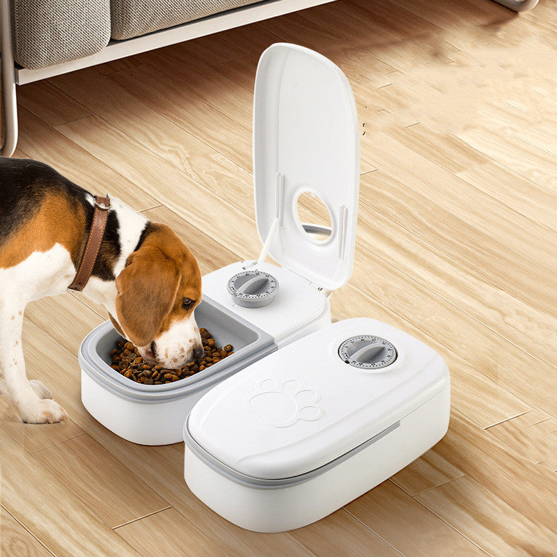 Distributeur automatique de nourriture intelligent pour chats et chiens avec minuterie et bol en acier inoxydable, fournitures pour animaux de compagnie