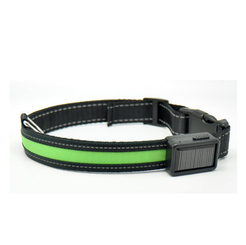 Collier pour chien fluorescent